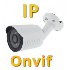 IP SVN-100CD20H